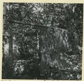 Nätställning vid Arvesjön från Sjöbosidan.