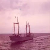 Portalkranar på Catrin av Bremen i Kalmarsund.