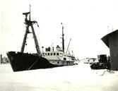 Lotsdistriktstjänstefartyget Vega, från Umeå. hamnen,