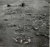 A4. Rektangulär flissättning. Till höger i bilden syns en del av A2.