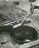 Tjärbark med gryta.