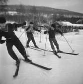 Hästnäs. Bildsidan.
Februari 1956.