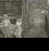 Ladugården. Karl Larssons pojkar.