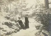 Vid Nygrens brygga på Baggensudden 1904.