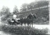 En så kallad landå, hästskjuts, vid Falsterbo i Hjorteds socken.