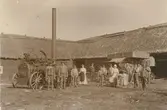 Hösttröskningen vid Gästis den 22 september 1908. I bakgrunden i mitten handlanden Alfred Björck.