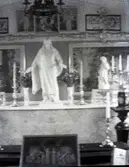 Widebergs trädgård