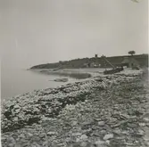 Stranden vid Äleklinta. Bilden är tagen 1950 men bodarna och den gamla sumppråmen ser ännu (2024) likadana ut.