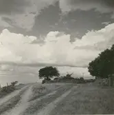 Strandvägen i Äleklinta.