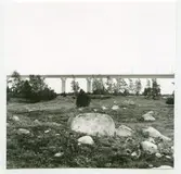 Röjning av gravfält på Öland. I bakgrunden ser man Ölandsbron.