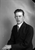 Ateljébild på en man i kavaj och slips. Enligt Walter Olsons journal är bilden beställd av Emil Andersson.