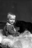 Ateljébild på en hund och en pojke. Enligt Walter Olsons journal är bilden beställd av fru H arvidsson.