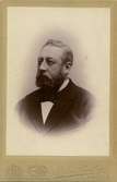 Bror Hain född 1848, död 1898. Grosshandlare, konsul i Kalmar.