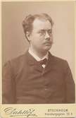 Frithiof Cronhamn (1856-1897). Hovkamrer med mera.