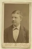 Petersson Hjalmar. Redaktör. Född 1852-11-27 död 1919-01-04.
Se även Sahlberg.