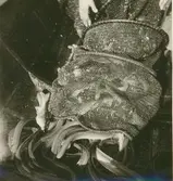 Jonas Olsson i Svartvik.
Ålbottengarnsfiske.