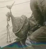 Jonas Olsson i Svartvik.
Ålbottengarnsfiske.