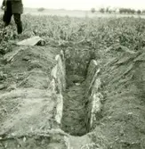 En hällkista vid en arkeologisk undersökning.