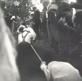 Emmaboda hembygdsförening

Hembygdsfest i Emmaboda 1940.