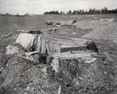 Ekskövling. En stubbe.