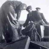 Upptagning av bottengarn.