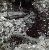 Kvarnränna i Mjödehult.