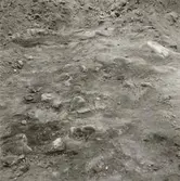 Arkeologisk undersökning i kv Bankmannen.