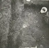 Skelettfynd i Äleklinta.