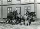 Bryggarhästar drar öltunna i Kalmar.
