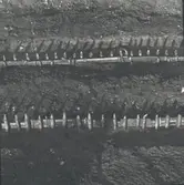 En del av pålverket sett snett uppifrån. Foto fr. S