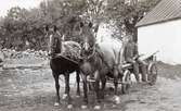 Lantbrukare Johan Edvard Carlsson på flakvagn förspänd med parhästar.
