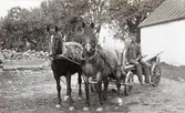Lantbrukare Johan Edvard Carlsson på flakvagn förspänd med parhästar.