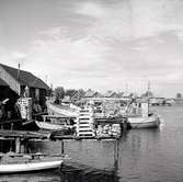 Stensö. Hamnen. Stensö fiskeläge med båt och sjöbod.