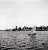 Georg Anderssons segelsnipa.