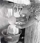 Aina ystar i sitt kök.
Foto: 19/07 1948.