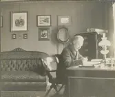 Porträtt av en man från den Fornanderska släkten i sitt arbetsrum.