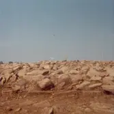 Frilagt gravröse, Algutsrum. 18 juni.