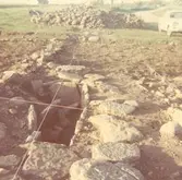 Utgrävd hällkista. Gravfältet, Algutsrum.