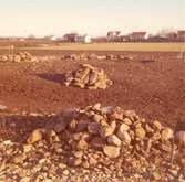 Arkeologiska utgrävningen i Algutsrum.