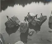 I galge upphängt ålbottengarn.