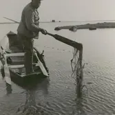 Fiskare i arbete utanför Gunnarstorp.