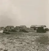 Alvara Boudden, Öland.