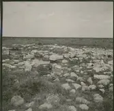 Stora alvaret. Vägen Resmo - Stenåsa.