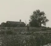 En gård med sadeltak och stenmur i Segerstad.