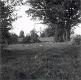 Kyrkan från Örsjövägen.