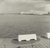 Betonggrisar i förgrunden och kryssningsfartyg i bakgrunden.