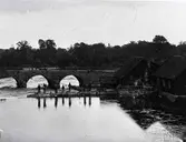Folk på en brygga vid en damm och en bro i Broholm.