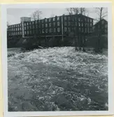 En dammanläggning vid fanérfabriken i Broholm.