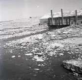 Ålkista vid Hornsjöns utlopp i Kalmarsund.