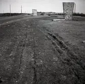 Kungsstenarna vid södra udden. Observera den skadade marken där man kört med motorforden på den känsliga heden.